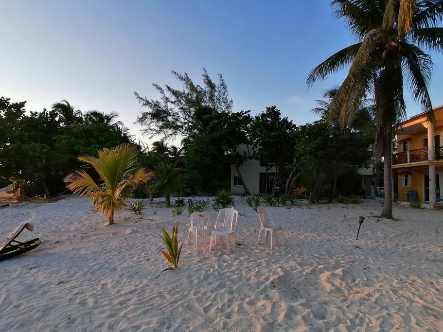 Marysol Great Views Beachfront Next To Nomads D3 Исла-Мухерес Экстерьер фото