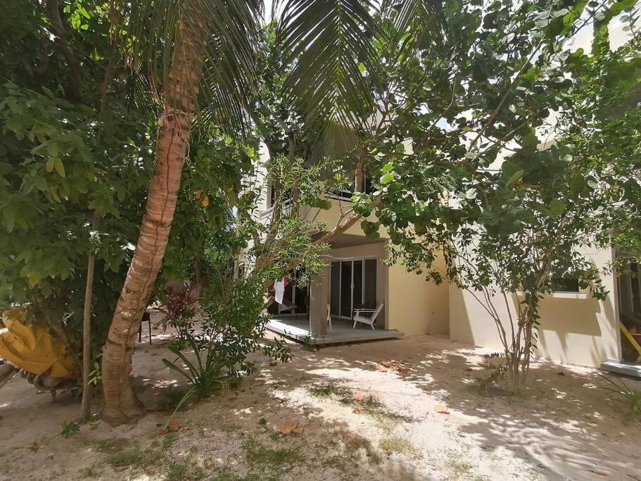 Marysol Great Views Beachfront Next To Nomads D3 Исла-Мухерес Экстерьер фото