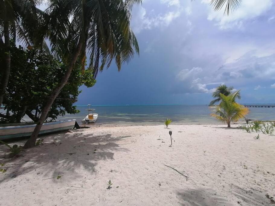 Marysol Great Views Beachfront Next To Nomads D3 Исла-Мухерес Экстерьер фото