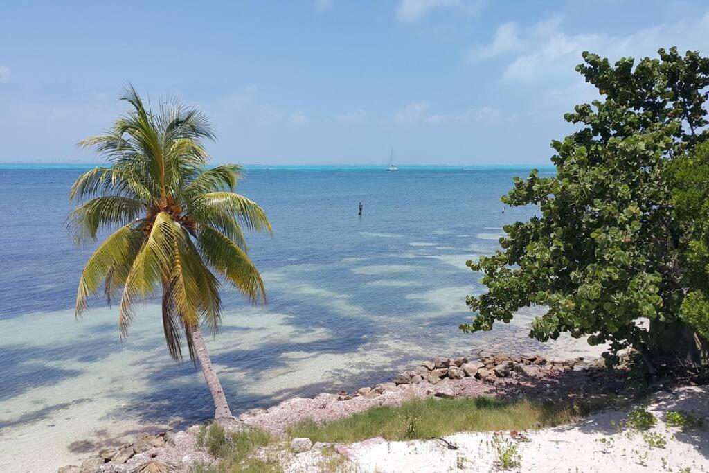 Marysol Great Views Beachfront Next To Nomads D3 Исла-Мухерес Экстерьер фото