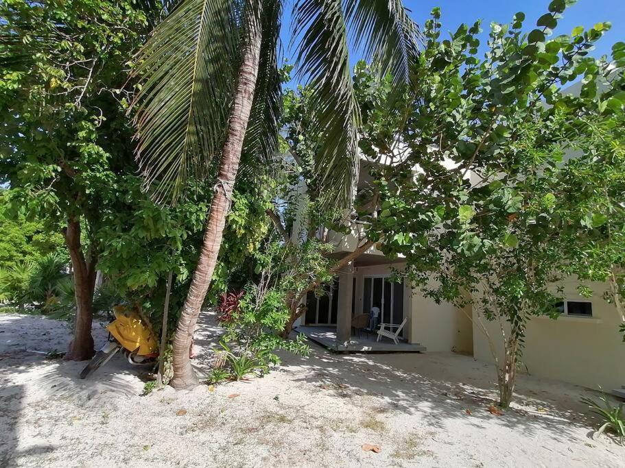 Marysol Great Views Beachfront Next To Nomads D3 Исла-Мухерес Экстерьер фото